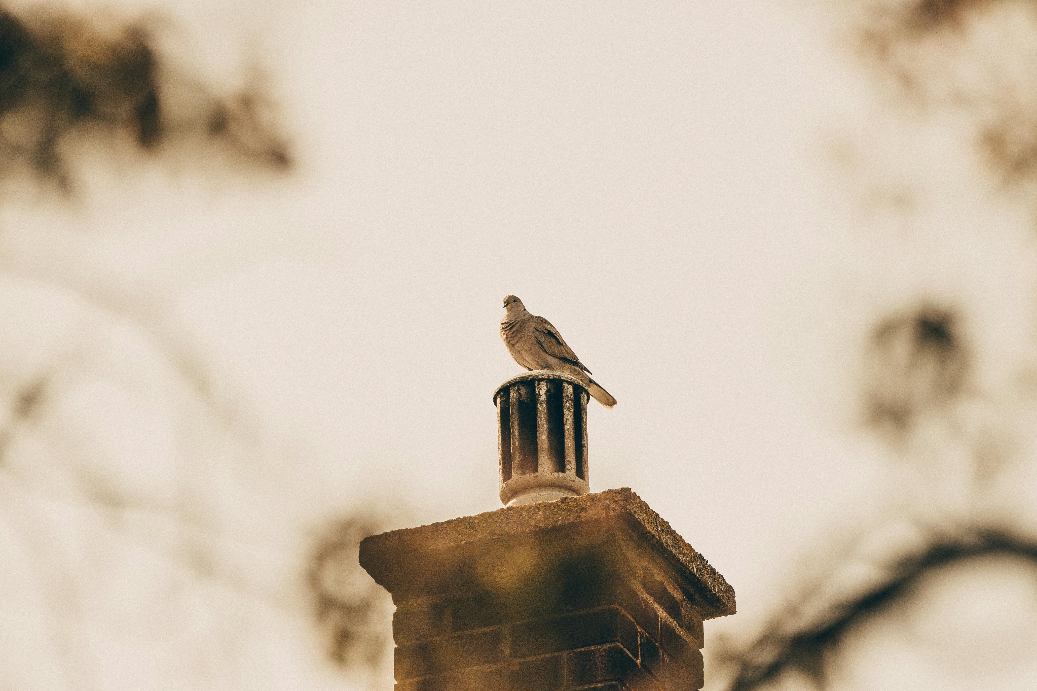 Quality Chimney Caps and Dampers Installation in Wilton Manors, FL Professional Chimney Cap and Damper In Wilton Manors Florida